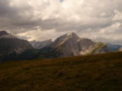 2013-09-08_6Falkenh-Steinfalk (115).JPG